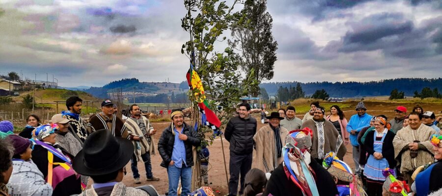 We-tripantu-en-Traiguen-1-scaled