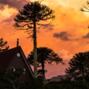 directorio directorio